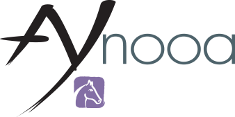 logo aynooa